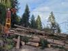 Koller K300 Photo 3 thumbnail