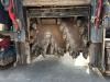 Bomag BM1000-35 Photo 14 thumbnail