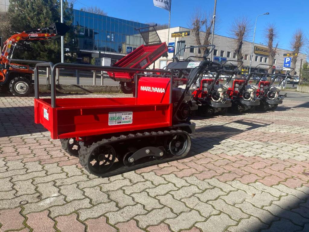 Gior 500 Honda Maruyama Photo 14