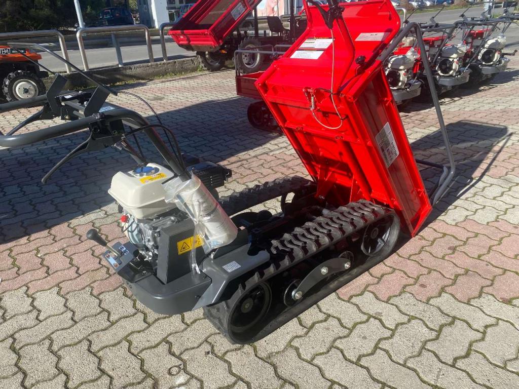 Gior 500 Honda Maruyama Photo 6
