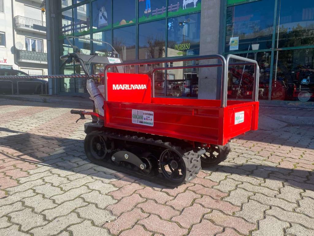 Gior 500 Honda Maruyama Photo 7