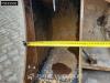Caterpillar 305 E2 CR Photo 16 thumbnail