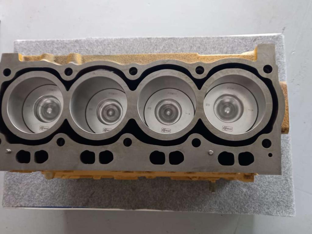 Short block engine for Caterpillar 3054C Photo 2