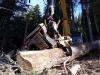 New Holland E245B Photo 10 thumbnail