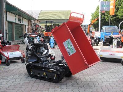 Gior 600 MOTORE ZANETTI - CASSONE AGRICOLO - RIBALTAMENTO IDRAULICO sold by Giordano Srl