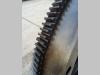 Engine flywheel for Fiat AD7 - FL8 - CODICE 585261 Photo 2 thumbnail
