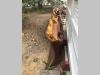 Dozer blade for Fiat Allis FL10C, FL10B Photo 1 thumbnail