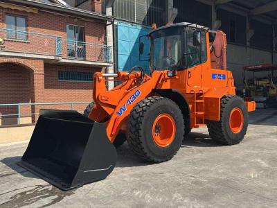 Fiat Hitachi W130A Photo 1