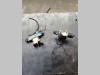 Electrovalve for Bitelli BB650 Photo 1 thumbnail