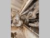 Perlini DP655B Photo 15 thumbnail