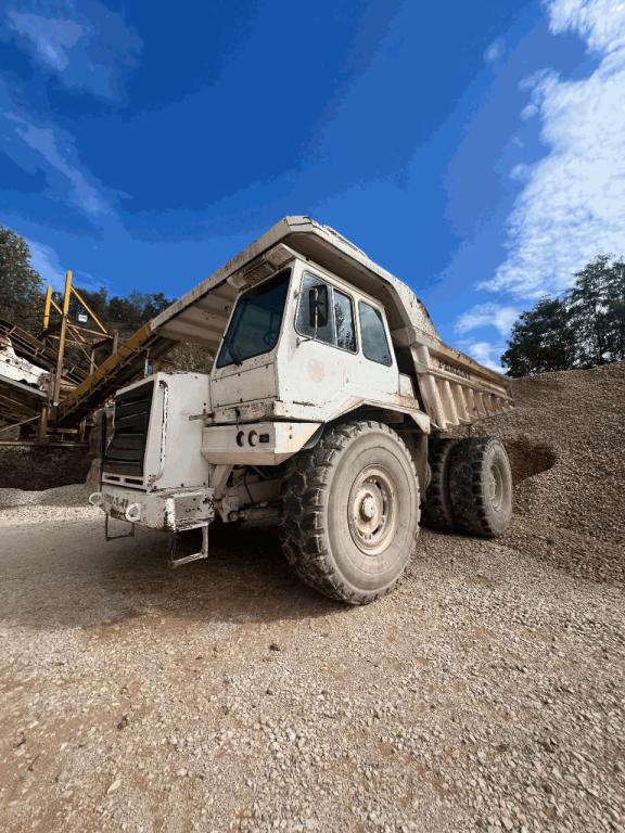 Perlini DP655B Photo 18