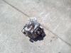 Transmission hydraulic pump for Fiat Hitachi W170 Photo 2 thumbnail