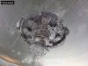 Krone SD Doppelstock Thermoking 300 Photo 28 thumbnail