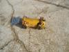 Heat exchanger for Caterpillar 920 - MOTORE 3304 - Photo 2 thumbnail