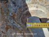 Verachtert 950M Photo 11 thumbnail