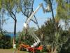 Easy Lift R210 Photo 1 thumbnail