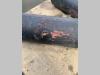 Tank (spare parts) for Kalmar LMV 12-600 Photo 3 thumbnail
