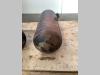 Tank (spare parts) for Kalmar LMV 12-600 Photo 4 thumbnail