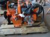 Internal combustion engine for Rullo N. DVA 466 Photo 4 thumbnail