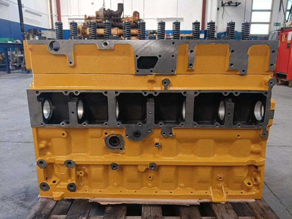 Long block engine for Caterpillar LONG BLOCK 3116 Photo 3