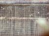 Terex Finlay 883T - 2 Side Conveyor / Auto Greasing Photo 29 thumbnail