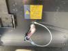 Kaeser M 80 - N Photo 11 thumbnail