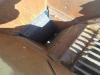 Rev GCV 75 Photo 6 thumbnail