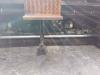 Marini MF 564 Photo 11 thumbnail