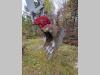 Takeuchi TB1140 Photo 10 thumbnail