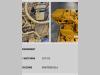 Caterpillar MOTORE REVISIONATO CAT 3054 Photo 3 thumbnail