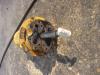 Rotating joint for Caterpillar 325 C Photo 4 thumbnail