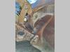 pin-on 2900 mm for Volvo L110, 120 Loader bucket Photo 7 thumbnail