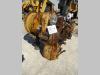 Hydraulic pump for Benfra 215 Photo 5 thumbnail