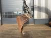 Volvo EC220EL Photo 10 thumbnail