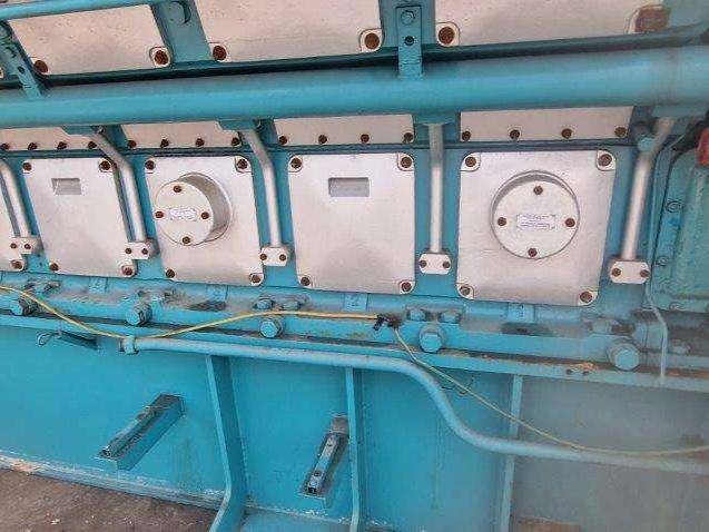 Wartsila 16V25SG Photo 10