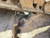 Caterpillar 329 ELN Photo 5 thumbnail