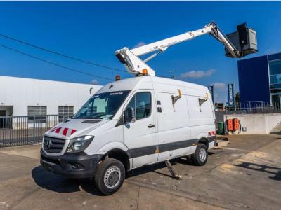 Mercedes-Benz SPRINTER 516 CDI - DANILIFT P145 V sold by Braem NV