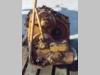Transmission for Fiat Allis FL14D - FL14E - FL10E - CODICE 79032242 Photo 3 thumbnail