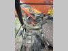 Hitachi ZX350LCN Photo 22 thumbnail
