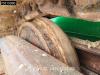 McCloskey S190 Photo 29 thumbnail