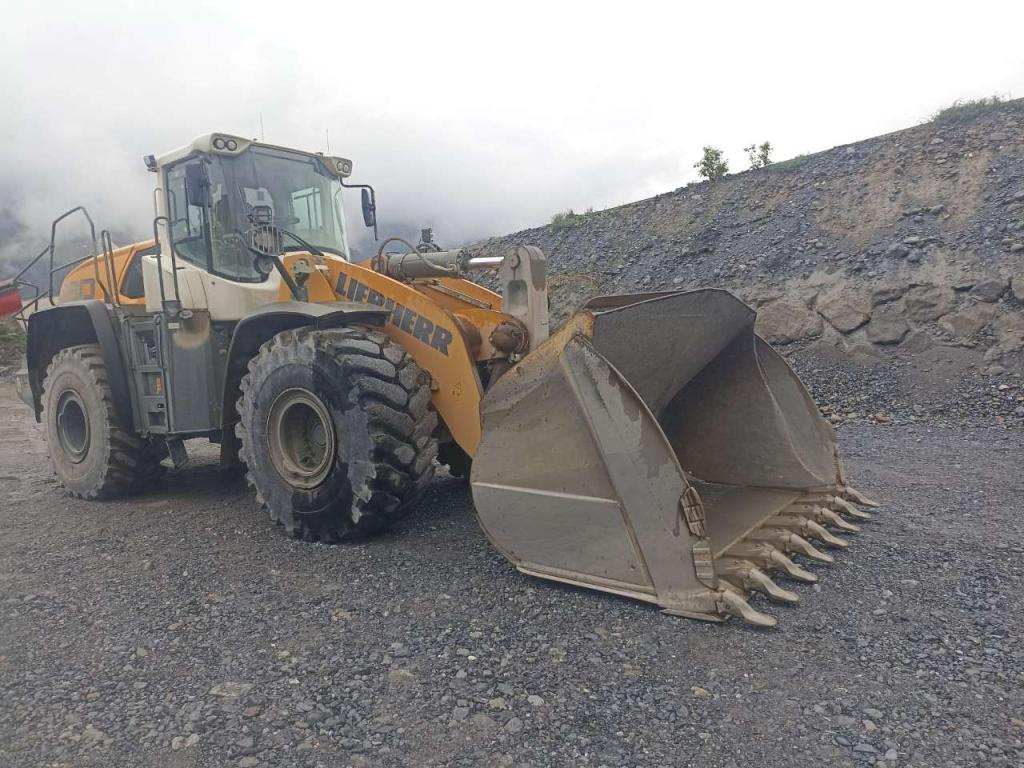 Liebherr L 580 X POWER (versione 40km/h) Photo 4