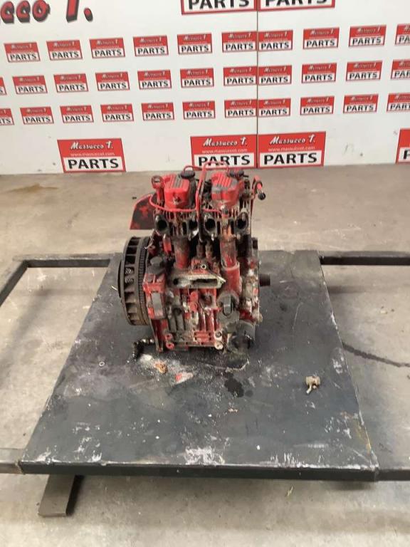 RUGGERINI Internal combustion engine Photo 3