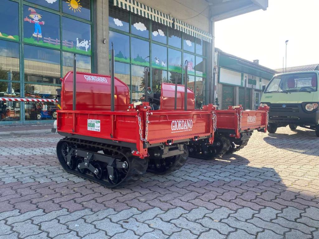 Gior 1000 AGRICOLA FORESTALE HONDA Photo 10