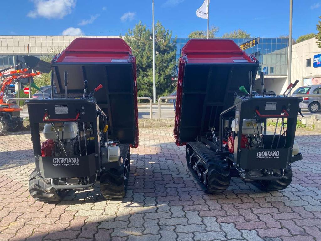 Gior 1000 AGRICOLA FORESTALE HONDA Photo 13