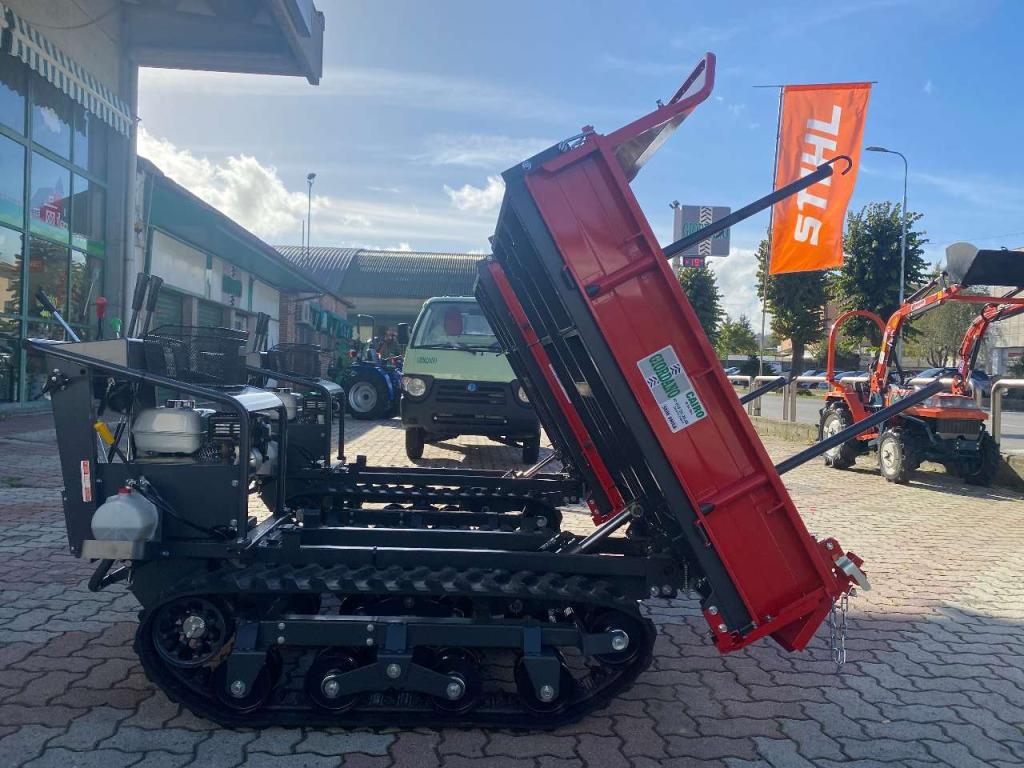 Gior 1000 AGRICOLA FORESTALE HONDA Photo 15