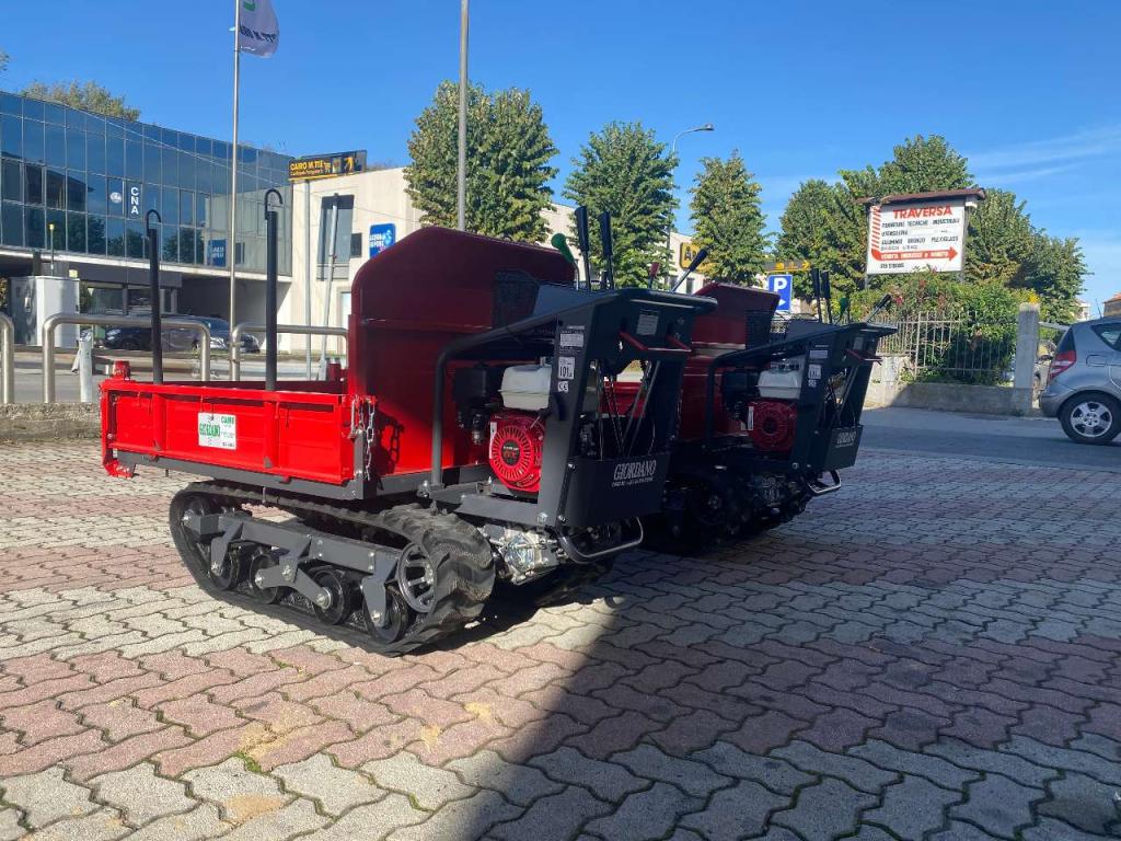 Gior 1000 AGRICOLA FORESTALE HONDA Photo 16