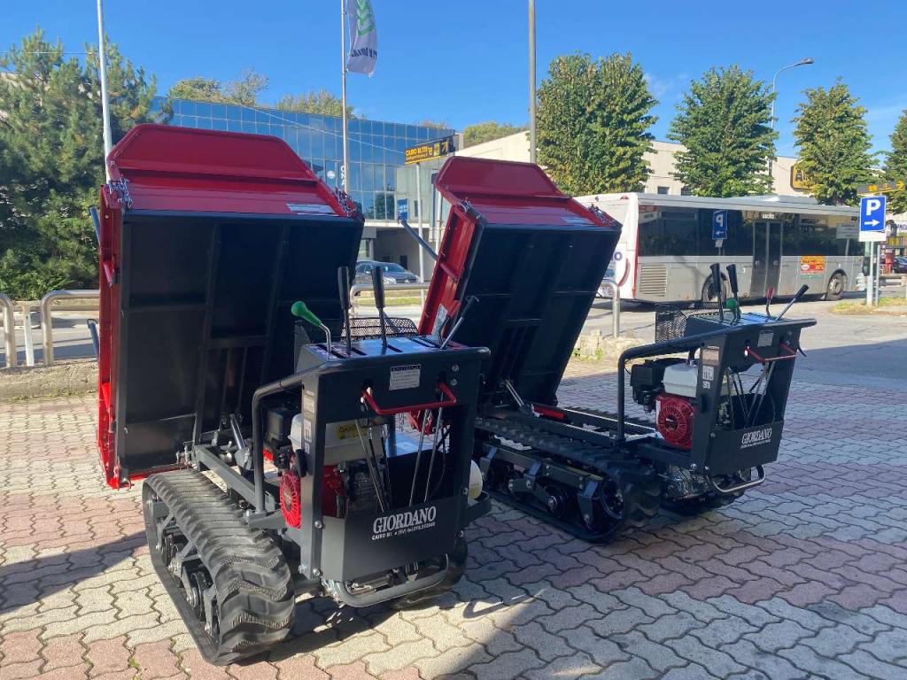 Gior 1000 AGRICOLA FORESTALE HONDA Photo 17