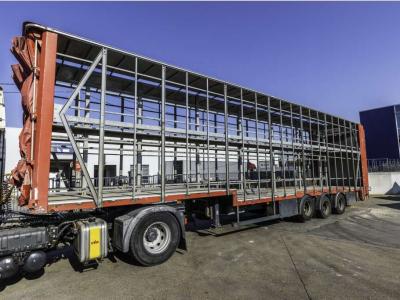 Lecitrailer CUELLO CISNE 3E-RD+DOUBLE ETAGE+DHOLLANDIA 2TON sold by Braem NV