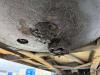 Schmitz Cargobull SKO 20 - Automatic Greasing / Forced Steering Photo 9 thumbnail