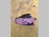 Translation motor for JCB 8060 Photo 5 thumbnail